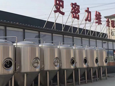 青浦精酿啤酒设备厂—如何判断精酿啤酒设备的密封件需要更换？